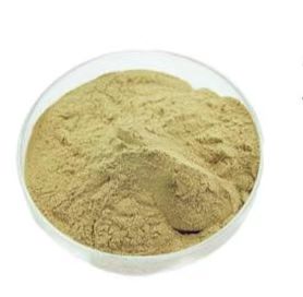 Zinc Enriched Yeast